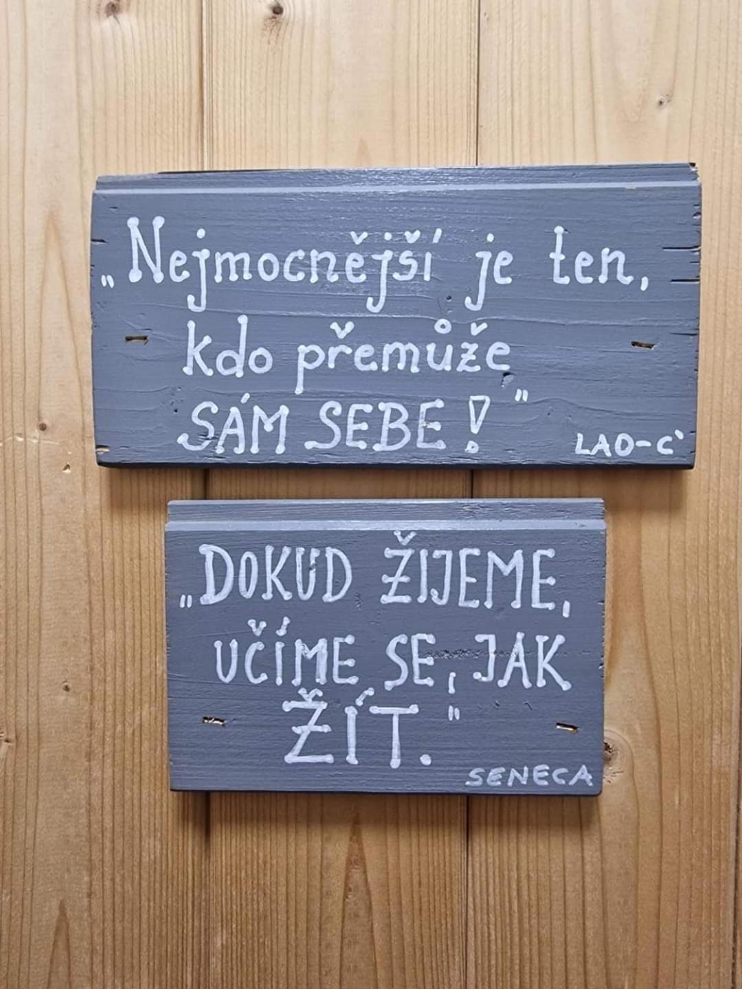 Penzion Slunecnice Kurimska Nova Ves Zewnętrze zdjęcie